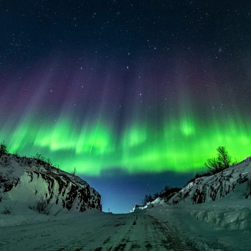 Ártico Russo Aurora Boreal
